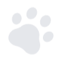 small-paw